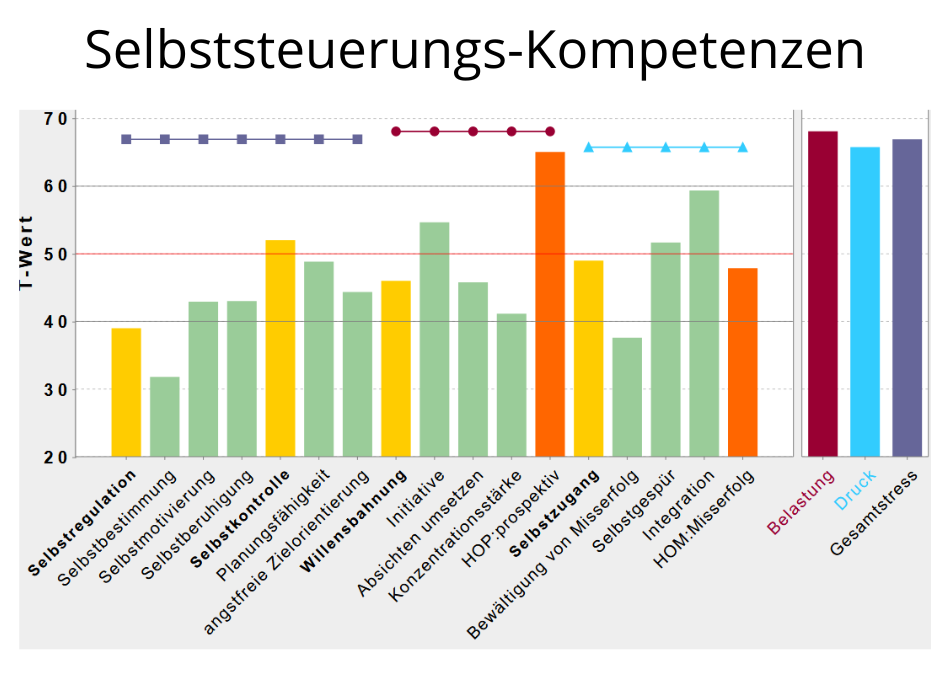 PSI-Selbststeuerungskompetenzen - Zweitreaktionen